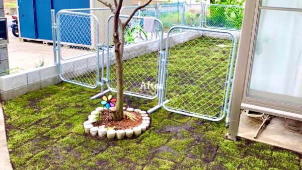 芝生のある庭